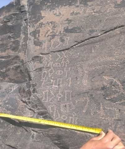 الشرعي الإحساء 5